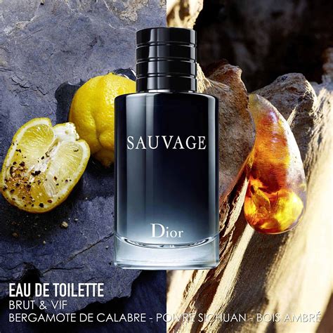 sauvage dior eau de parfum notes|Dior Sauvage for men boots.